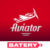 Batery Aviator