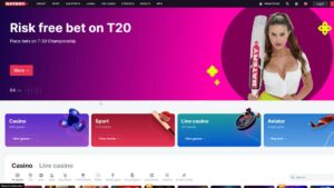 Batery Aviator Game: Rules and Regulations 